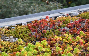 the cost of Friarton green roof installation