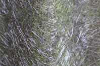 Friarton fibreglass roof work